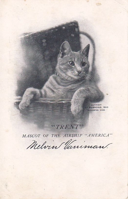 Historic postcard of Trent, also known as Kiddo, mascot of the airship America